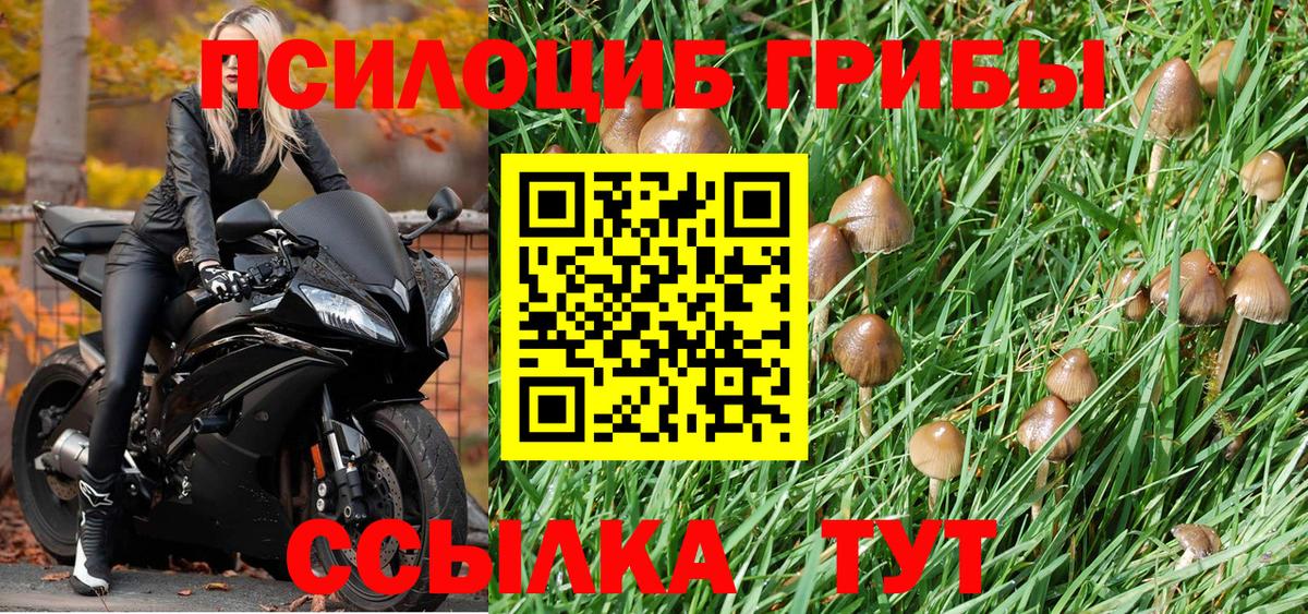 Псилоцибиновые грибы мицелий Сатка