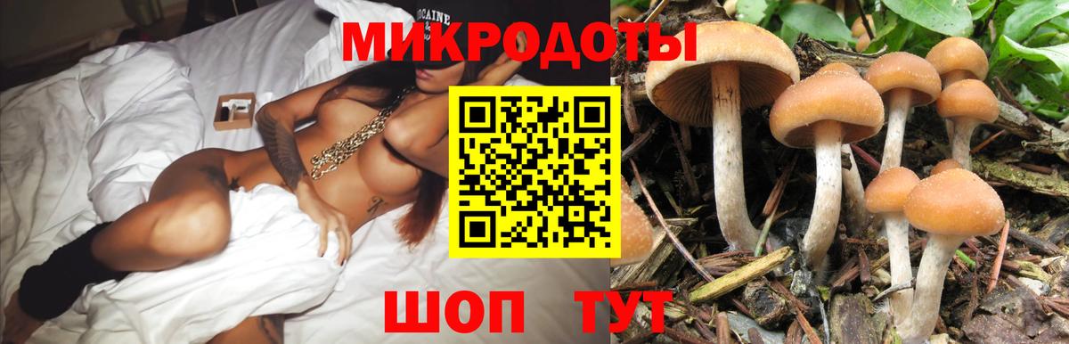 Галлюциногенные грибы MAGIC MUSHROOMS  Вход с VPN  Сатка 